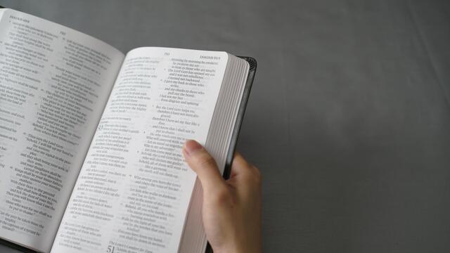 bible study | bible